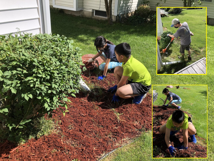 僑民家庭清理庭院雜草以及孩童於後院鋪設覆蓋木(Mulch)工作情形
