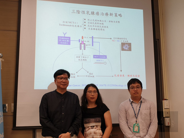 國家衛生研究院研究發現,MCT-1致癌基因在乳癌高度活躍,透過抑制MCT-1表達,結合特定免疫療法,可加強抑制三陰性乳癌細胞生長與轉移。(中央社提供)