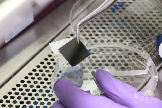 成功大學材料系教授廖峻德團隊研發以奈米陷阱概念捕捉病毒，搭配熱區聚集試片技術，1分鐘就可快篩出新型冠狀病毒。（成大提供）