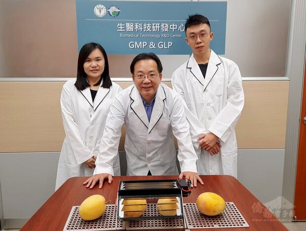 中國醫藥大學牙醫系教授劉沖明（中）等人利用高電場電漿，製作出消除芒果表皮細菌與黴菌的殺菌系統，獲2020第14屆波蘭華沙國際發明展金牌。（中華創新發明學會提供）