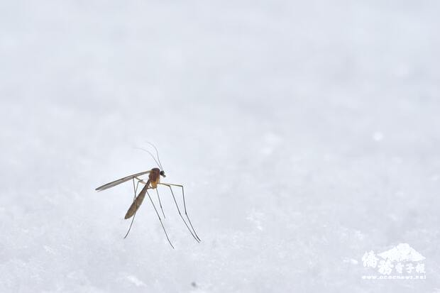 國內新增1例日本腦炎病例,提醒民眾加強防蚊並按時攜幼兒接種疫苗