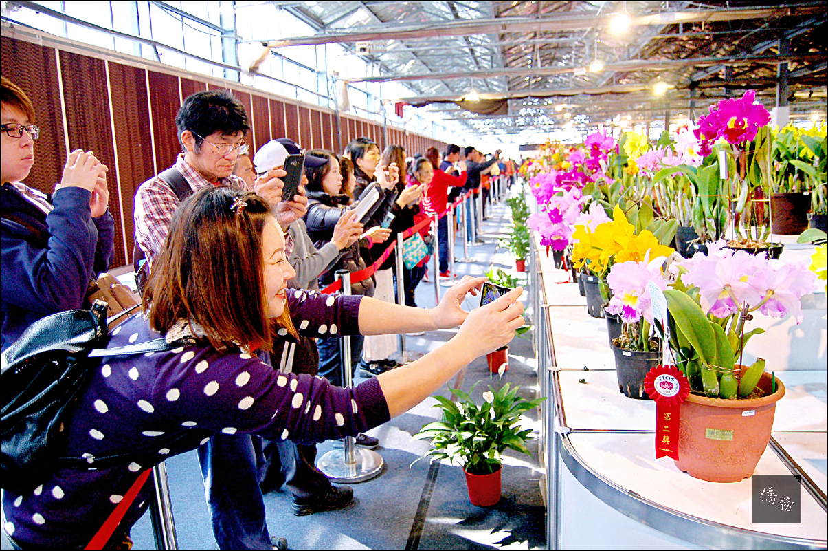 台南市舉辦的2017臺灣國際蘭展開園後，遊客湧入後壁蘭花生技園區展館，爭相拍攝蘭花之美。（自由時報提供）