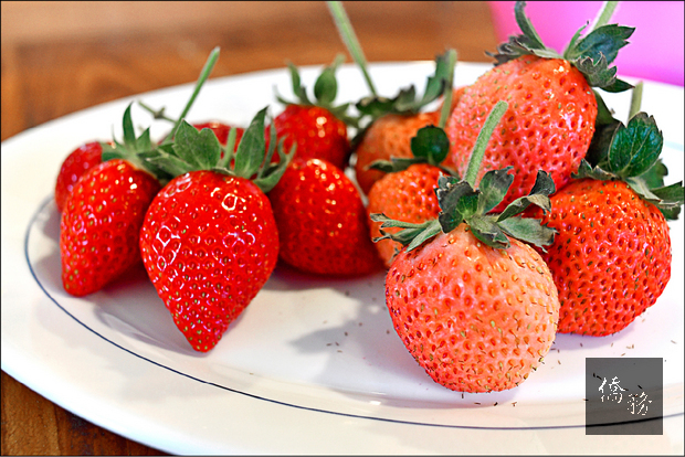 白草莓（右）與一般草莓相比，顏色相當夢幻。(自由時報提供)
