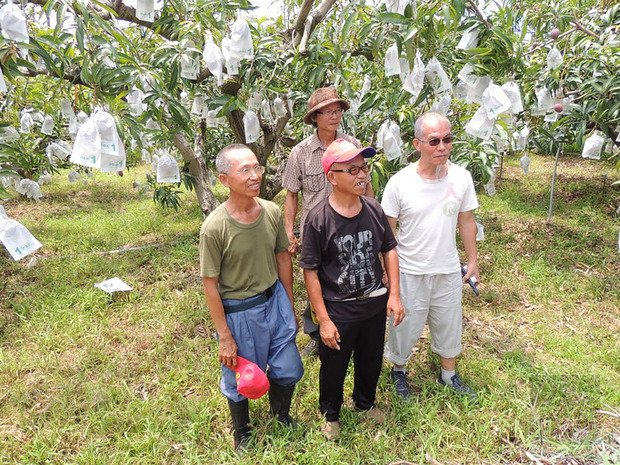 「綠農的家」創辦人洪輝祥（後）長年推廣友善農法，近年並與屏東枋山、枋寮地區的愛文芒果農友合作，成功生產以友善農法培植的芒果。