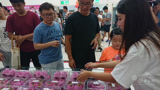 家樂福內湖店8日搶先販售山竹，不少民眾希望買來與沒吃過的家人分享。