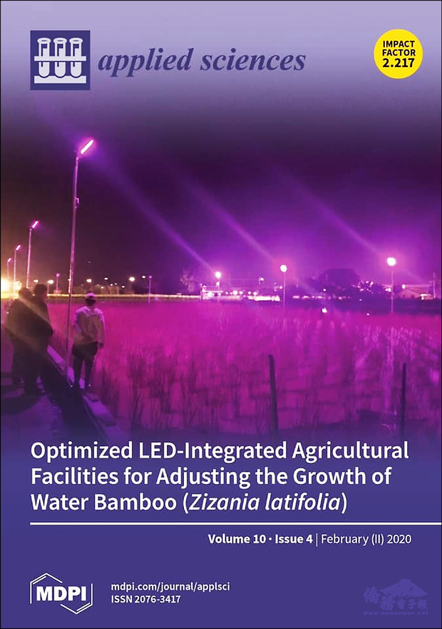 暨大的茭白筍田LED燈照研究成果，登上知名國際期刊《Applied Science》並以茭白筍田LED紫色夢幻照為該期的封面故事。（自由時報提供）