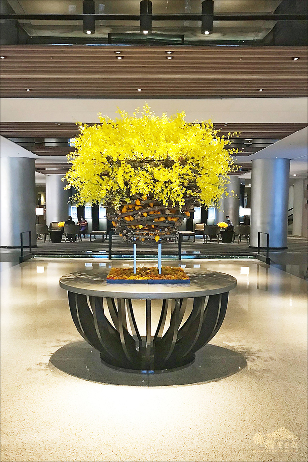 12萬支文心蘭切花送飯店 休閒農場 農業 僑務電子報