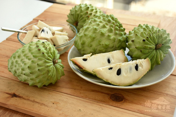 金門縣政府建設處9日表示,台東釋迦過往以外銷為主,這次因疫情外銷受阻轉向內銷,國內市場反應相當熱烈,這次並藉電商協助,將美味的台東釋迦帶給金門民眾品嘗,歡迎金門鄉親訂購。(金門縣政府提供)