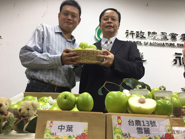 農試所20日宣布,歷經多年育種,蜜棗新品種「台農13 號—雪麗」正式量產上市,對比市售品種盛產期在年後,雪麗春節前即盛產,可滿足民眾送禮需求。