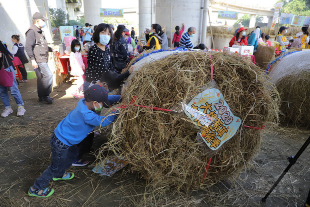 雲林縣大埤鄉公所去年12月舉辦稻草藝術節,600個稻草捲打造666坪稻草迷宮,還有推稻草捲、挑草擔等童玩遊戲體驗,吸引許多民眾參與。