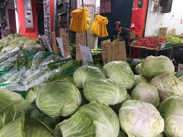 春節過後17日開工首日,高麗菜在台北果菜批發市場的交易均價每公斤已跌到新台幣6.2元,快要破6元。攤商整理賣相好拉提售價。