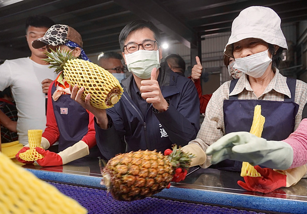 高雄大樹金鑽鳳梨首批進軍韓國首爾高端超市，市長陳其邁（中）前往南友農青果生產合作社訪視鳳梨集貨出口作業流程。
