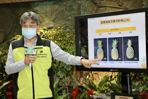 農委會副主委陳駿季表示,已建立用藥安全外銷供
果園名單,也將與外貿協會合作,加強宣導台灣金鑽鳳
梨的合適貯藏溫度、最適食用天數等資訊,會層層把關
,確保外銷鳳梨品質符合各國消費者期待。