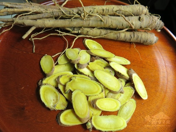 黃芩具有清熱解毒的功效,衛生福利部國家中醫藥研究所利用黃芩針對細胞激素做免疫調控,以古早的方劑加減內容、調整配方,找出本土可種的藥材,研發出能治療武漢肺炎輕症的「清冠一號」。(花蓮農改場提供)