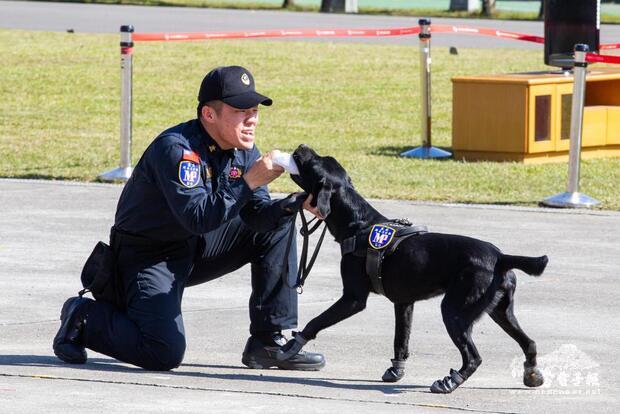 緝毒犬完成任務後，領犬員給予獎勵。