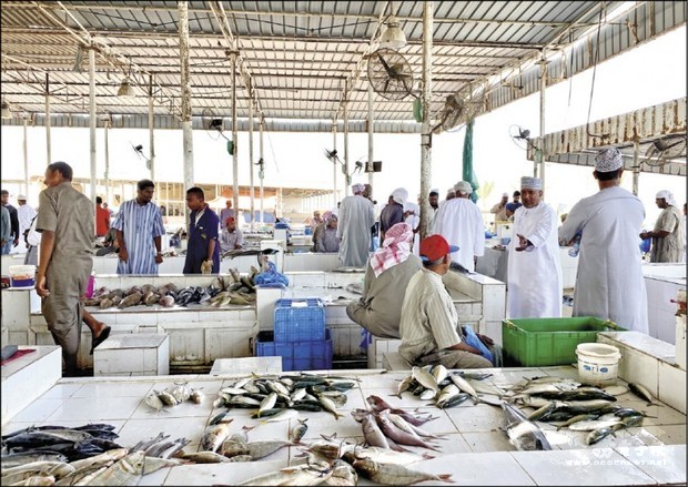 阿曼魚市場展現在地生活文化。（自由時報提供）
