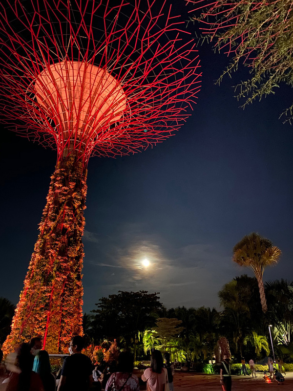 新加坡民眾中秋夜晚前往濱海灣花園逛燈會、賞月。