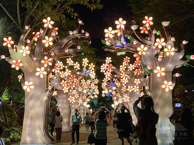 新加坡濱海灣花園舉辦中秋慶祝活動，「杏林送暖」燈區以杏樹為主體，向醫護人員致敬。