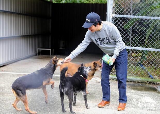 副總統抵達後,首先聽取由動物之家工作人員說明「志工服務」的流程、教學及注意事項,接著在園區內與狗狗互動,並帶狗狗散步及協助社會化等工作