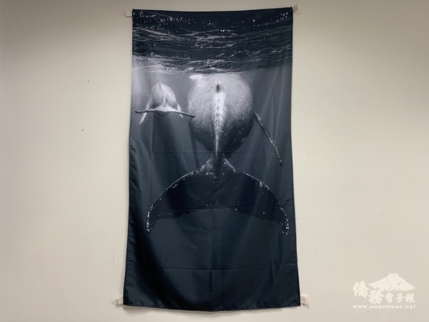 義助門諾醫院婦科儀器更新，曾獲國際攝影獎項的台灣女性水下攝影師陳玟樺集結得獎作品等在門諾醫院展出，並授權其中1幅大翅鯨母子的照片製作成掛飾，藉此感謝捐助人的支持。（門諾醫院提供）