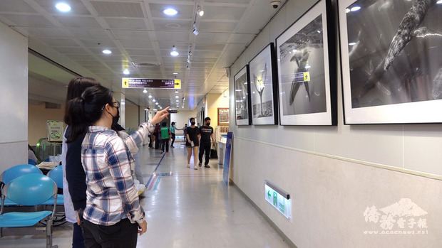 義助門諾醫院婦科儀器更新，曾獲國際攝影獎項的台灣女性水下攝影師陳玟樺集結9幅作品在門諾醫院展出，展期即日起至4月底止。（門諾醫院提供）
