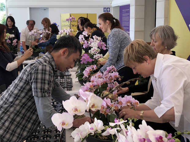德國駐世貿組織大使夫人韋納（Heide Werner）（右）與各國駐世貿組織大使的夫人正專心用台灣蘭花插花。（中央社提供）
