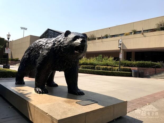 加州大學洛杉磯分校(UCLA)宣布,收到來自外交部200萬美元捐款,用於加強台灣研究在校內的發展。圖為UCLA吉祥物棕熊雕像。(中央社提供)