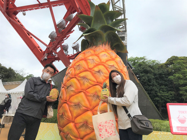 東京鐵塔台灣祭（美食活動）16日登場，預計吸引15萬人前來。主辦單位打造一個巨大鳳梨，成為打卡熱點。