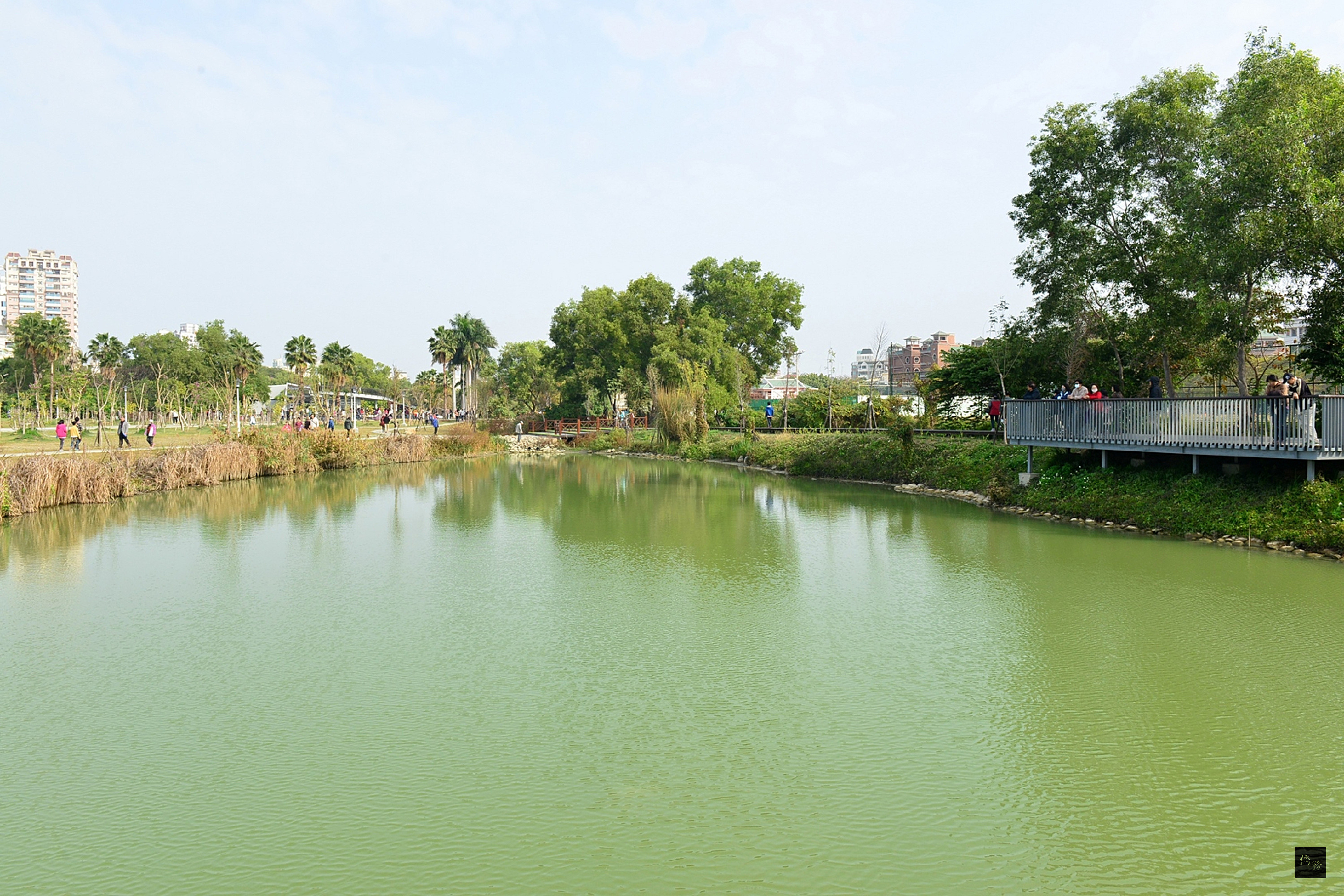 台南市東區巴克禮紀念公園擴建工程1月31日落成啟用,公園中有螢火蟲棲地等,也規劃園區滯洪池,並採抬高木棧道的方式,與公園的動、植物友善的和平共存。(中央社提供)