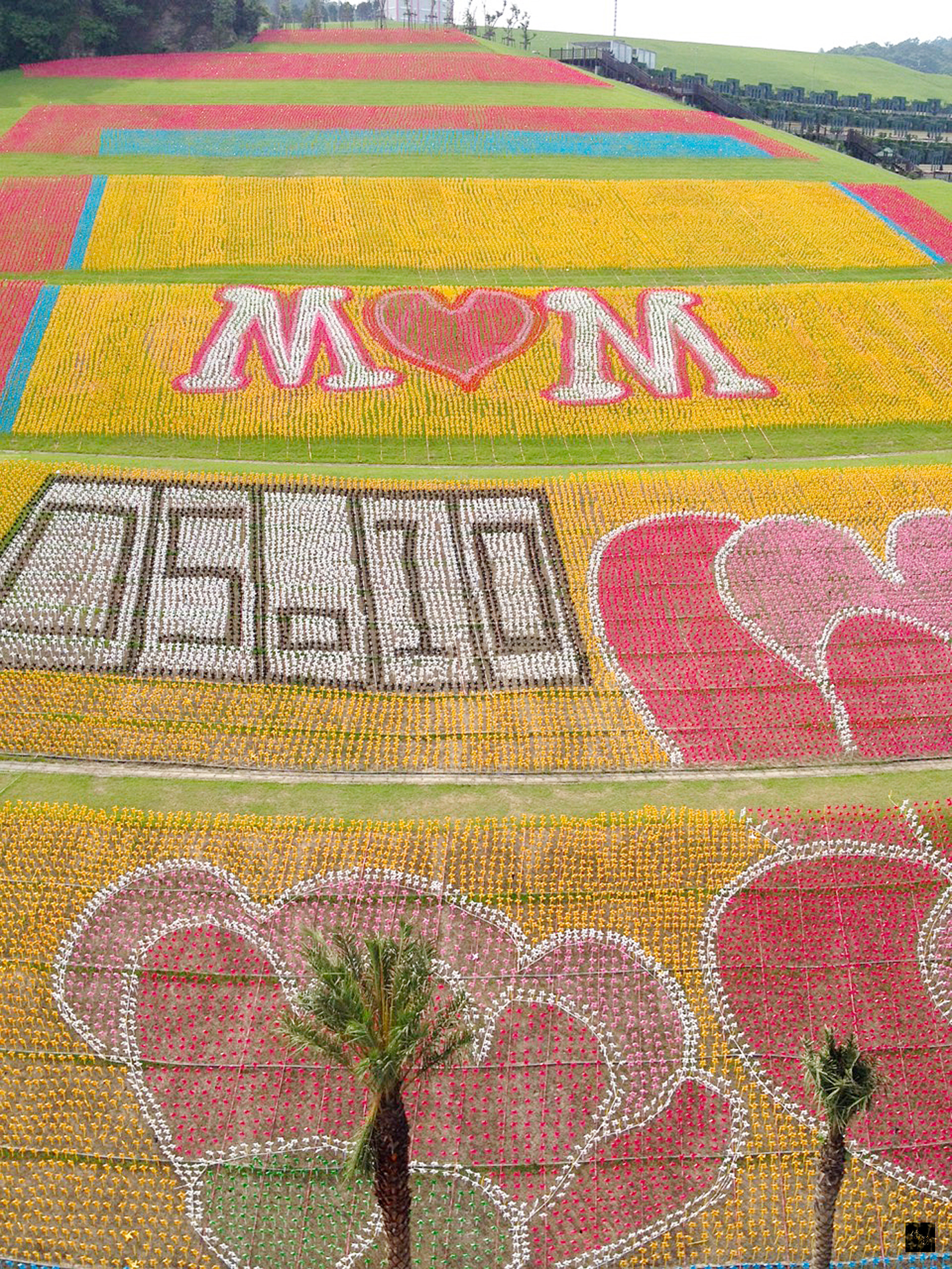 位於基隆的擁恆文創園區,為迎接母親節,特地斥資數百萬,以12萬支風車,拼成巨幅康乃馨地景,並請來攝影師陳志通記錄縮時攝影。(中央社提供)