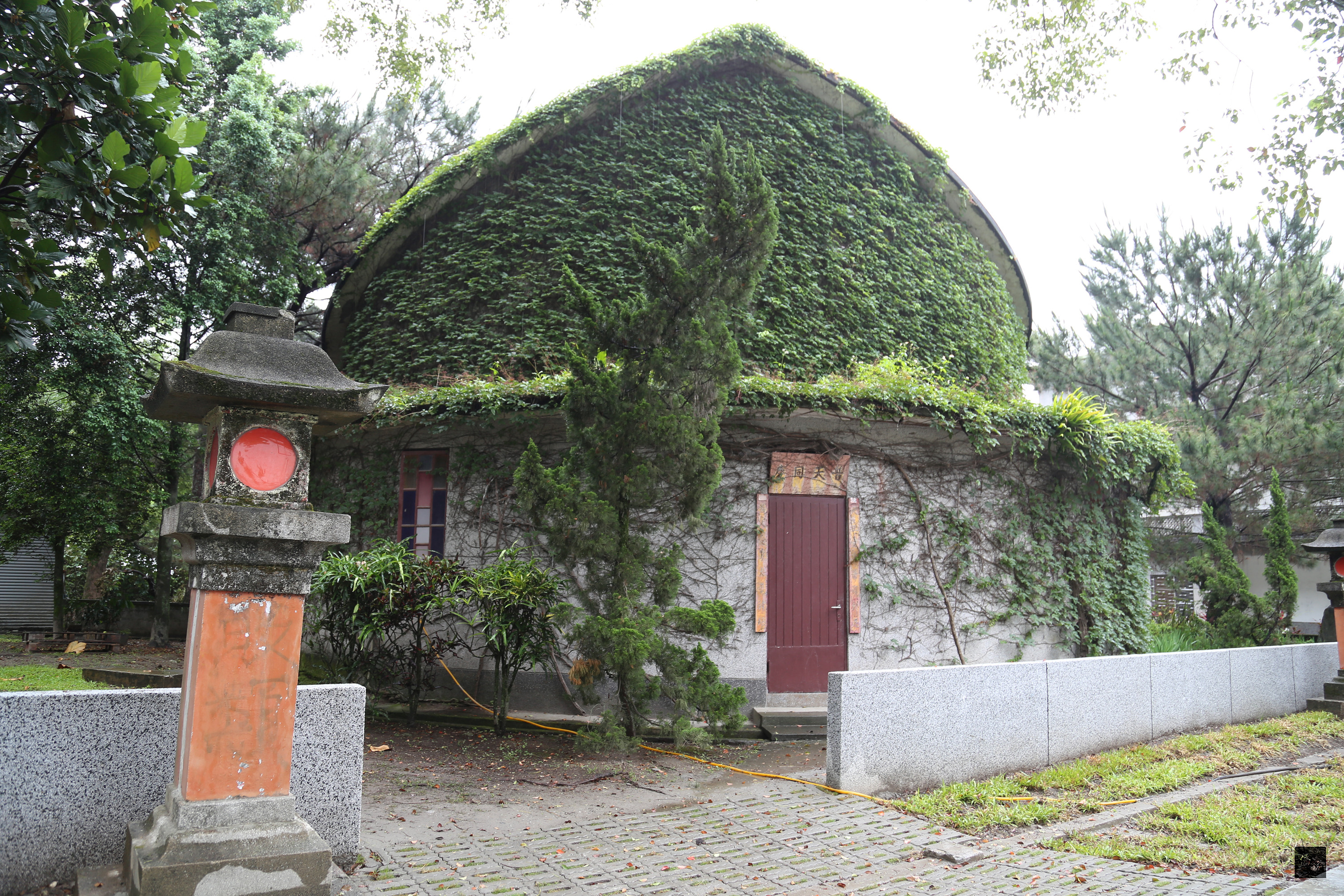 隱身於新城鄉巷弄間的天主堂，外型如同一方舟，牆上爬滿藤蔓，增添幽靜歷史氛圍。（中央社提供）