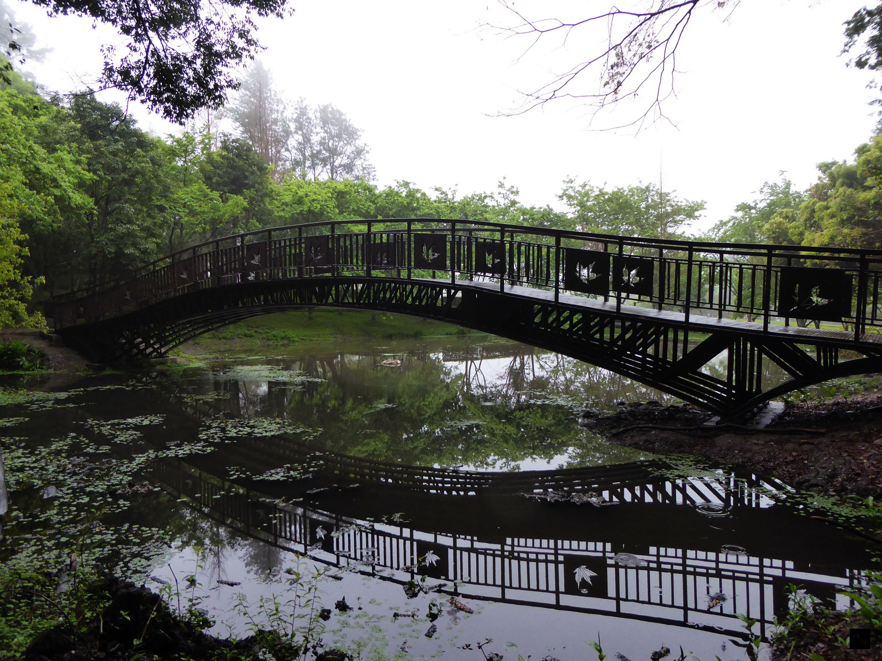 為體貼所有年齡層需求,奧萬大森林遊樂區新設一條穿越香杉林的平緩步道,配著小橋流水、蟲鳴鳥叫,輕鬆享受自然之美,是園內受歡迎的新景點。(中央社提供)