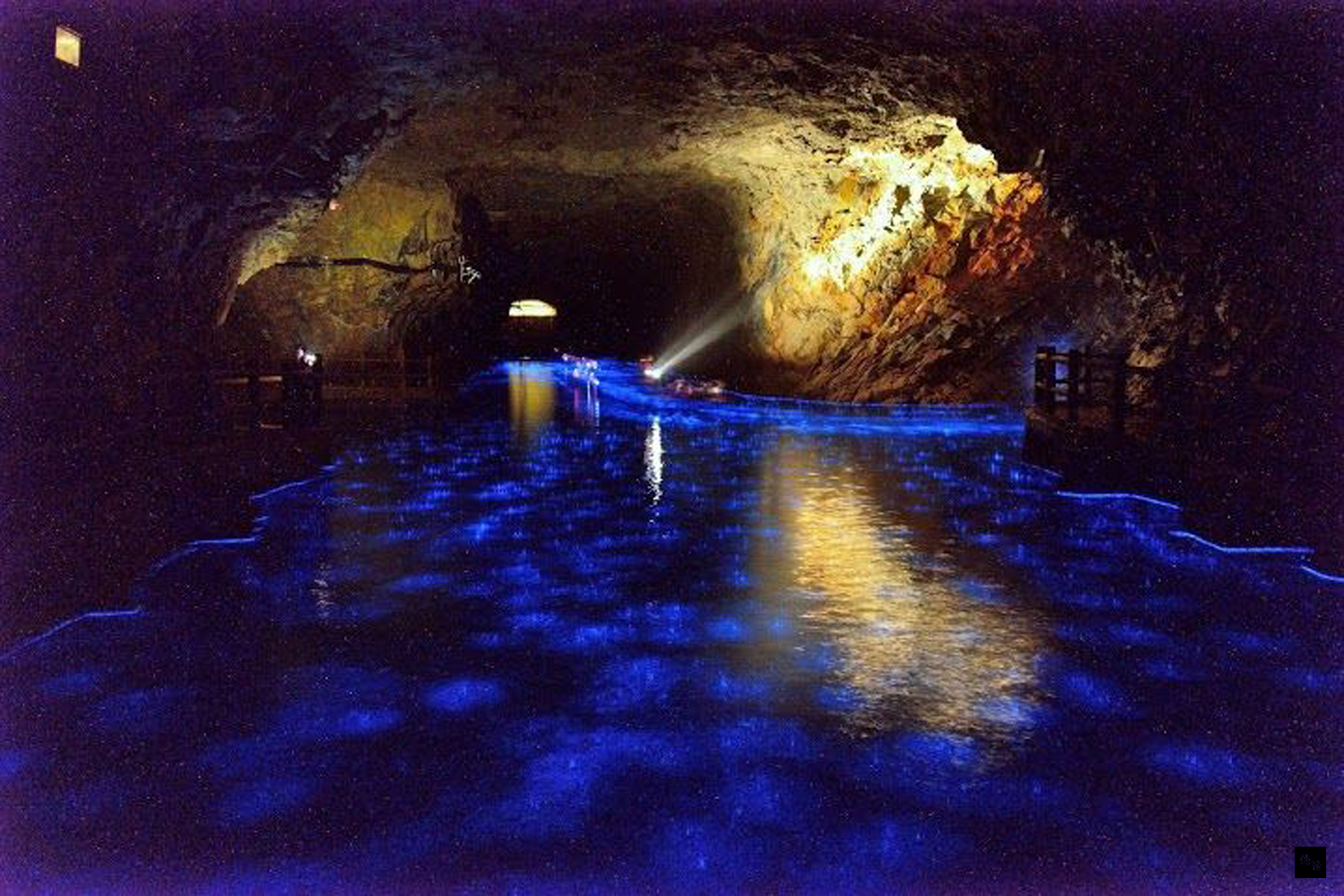 馬祖藍眼淚在去年掀起一陣旋風，觀光局馬管處說，今年北海坑道夜間藍眼淚活動將在4月1日啟動，想一睹夢幻藍眼淚的遊客可提早預約。（中央社提供）