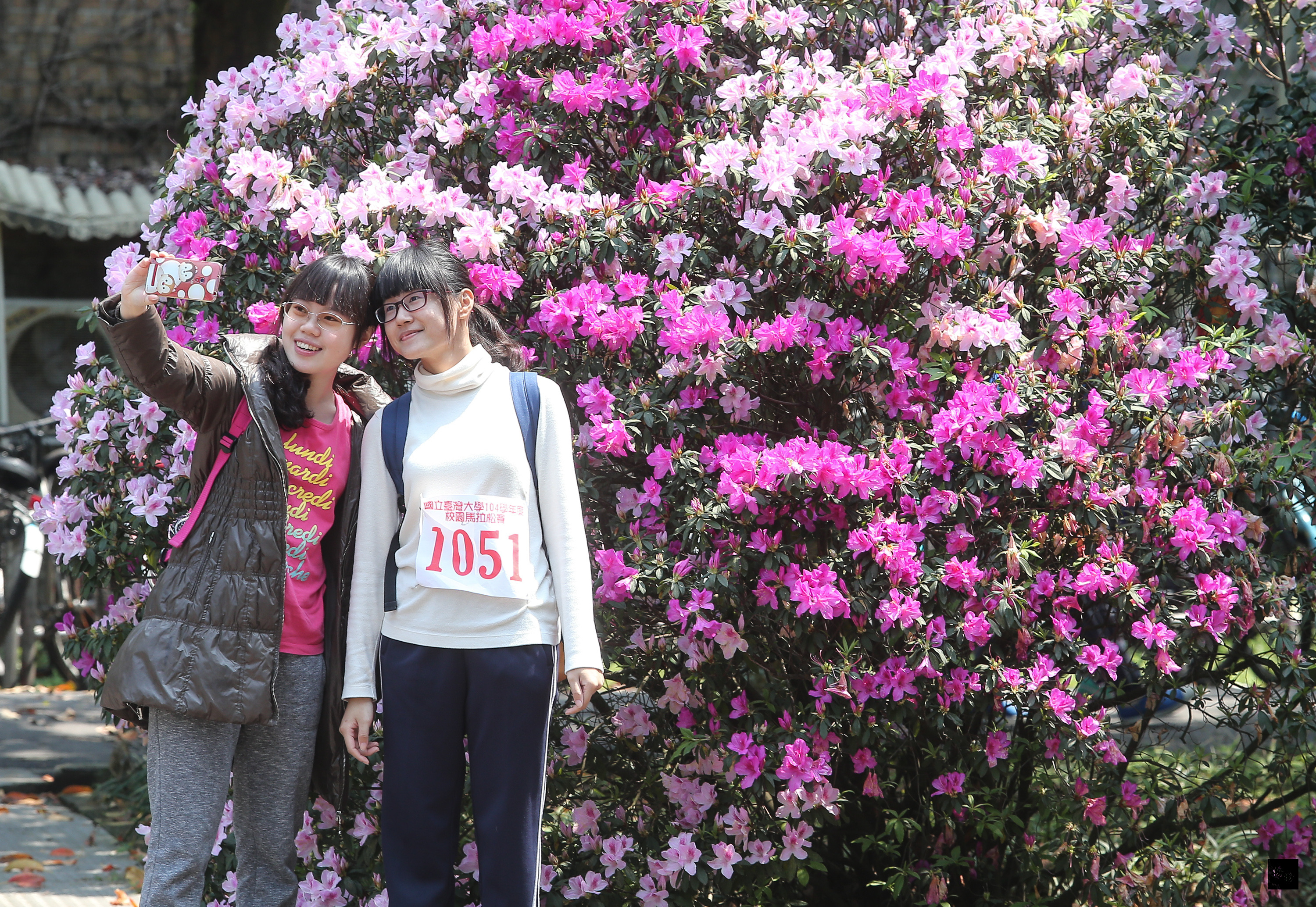 下了好幾天的雨,台北市26日天氣放晴,台大校園裡盛開的杜鵑花吸引不少人前來拍照,在杜鵑花前留下美麗身影。(中央社提供)