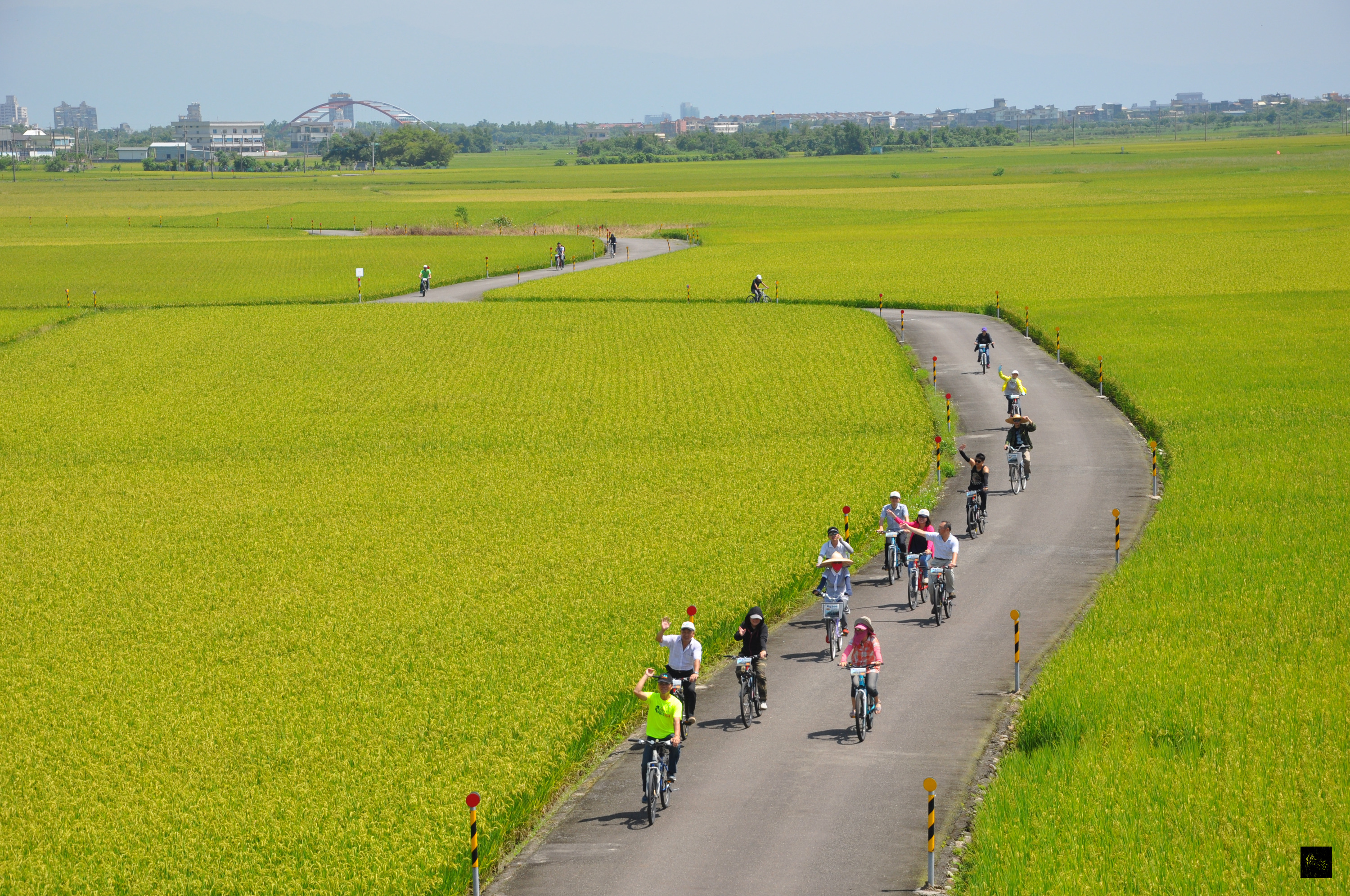 號稱宜蘭版的「伯朗大道」目前沿路稻子正值金黃。當地鄉公所即日起到月底，在現場架設高約9公尺的觀景高台，方便攝影愛好者與民眾可居高俯瞰一大片農田地景。（中央社提供）