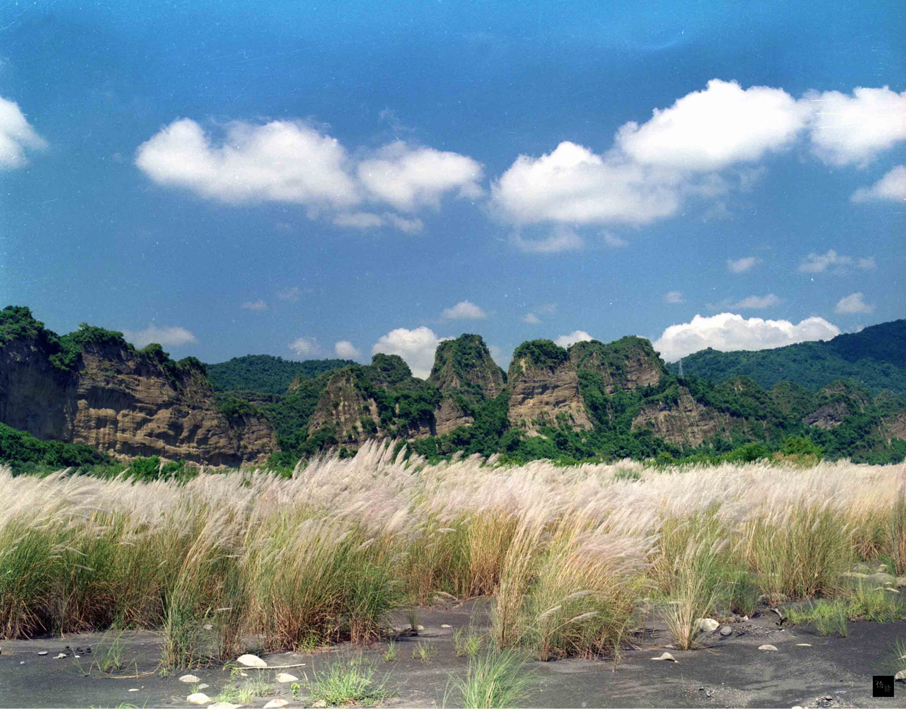 高雄市六龜十八羅漢山自然保護區內舊184縣道上6處極富生態旅遊發展潛力的隧道,預計明年6月局部開放團進團出。(中央社提供)