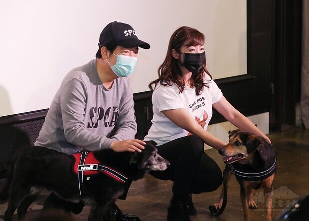 副總統出席「『台灣防止虐待動物協會』記者會」