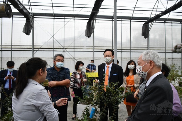 植物所所長林育萱為童振源、通才大使以及僑臺商介紹在溫室中藍莓的種植