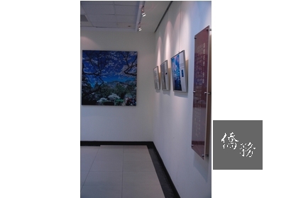 台灣藝廊呈現常民文化的圖片之美。