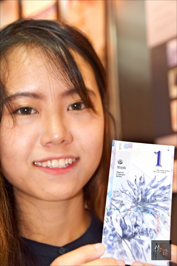 1元紙鈔選定稀有的雙扇蕨為設計圖案。（自由時報提供）