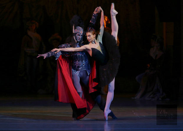 馬林斯基劇院芭蕾舞團暨交響樂團7月訪台,將帶來經典劇碼「天鵝湖」,更以3大貨櫃將演出道具、頭飾、舞鞋、服裝甚至地板等海運來台,打造芭蕾盛宴。