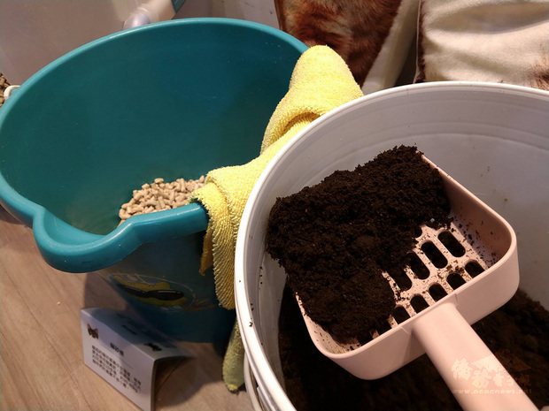 社會企業「養貓人家」原型是貓中途之家,創辦人陳人祥表示,盼藉由與小農契作方式,由中途之家貓糞、木屑貓砂製成的堆肥供農民耕作,接著再收購茶、米等作物販售,達到「人護貓、貓種菜、菜養人」的永續循環。(中央社提供)