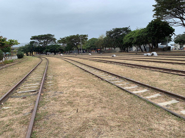 高雄港鐵路於1908年啟用，位於哈瑪星的「打狗驛」（高雄港站）曾是高雄重要的門戶，商業貿易旅人往來，曾造就哈瑪星「金融第一街」的榮景。