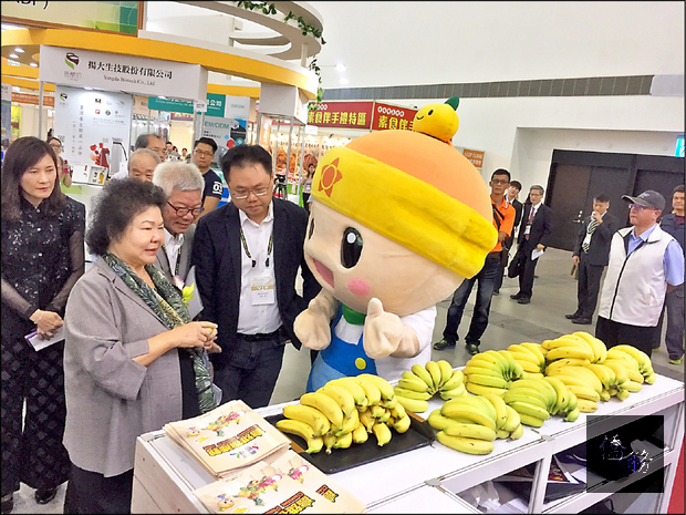 市長陳菊與高通通一搭一唱，合力推薦旗山香蕉。（自由時報提供）
