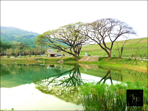 高市府砸下一千多萬元,進行阿公店森林公園二期工程,結合水域棲地,進行螢火蟲復育,歡迎民眾來趟阿公店水庫生態之旅。(高雄市養工處提供)