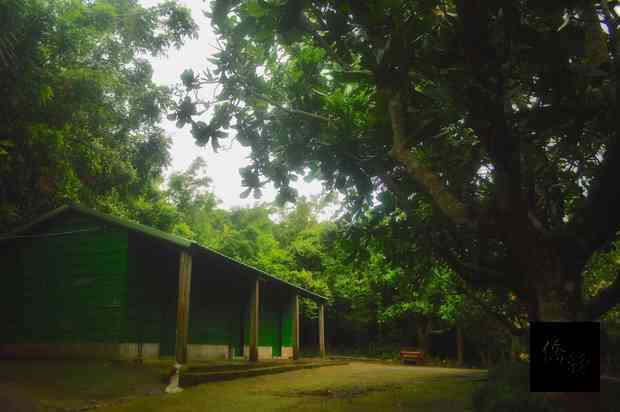 屏東縣滿州鄉的「滿茶古道」因多年未被使用,道路被草木掩蓋,由滿州促進會解說員鍾文明等人探勘,再度把路給清理出來。圖為滿茶古道內早期林試所辦公廳。(墾丁國家公園管理處提供)