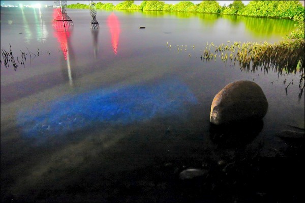 下湖口濕地曾出現熱門的生態景觀「藍眼淚」，黃昱震以相機留下這幅畫面。（自由時報提供）