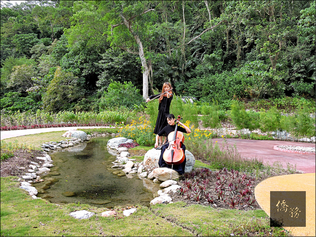 台東知本國家森林遊樂區「花見知本百草園」開放。（自由時報提供）