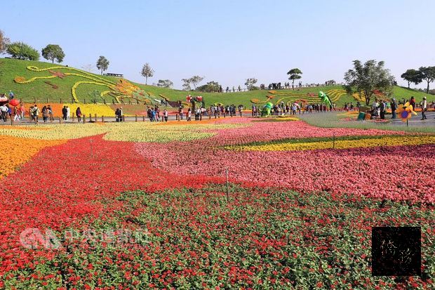 台中國際花毯節23日起在后里區花田綠廊登場，今年以「花開的聲音」為主軸，歡迎民眾前來欣賞這片22公頃美麗花海。（中央社提供）