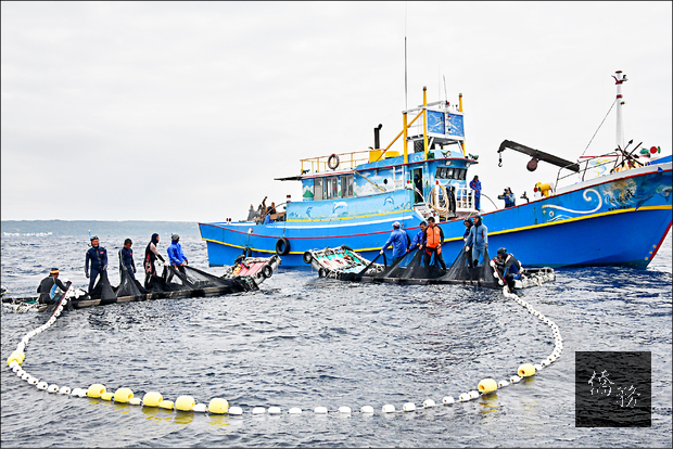 飛魚過境季節，恆春半島遊艇業者推出賞飛魚行程。